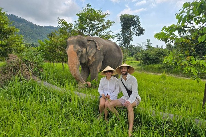 Koh Samui : Elephant Nature Care, il più grande santuario degli elefanti