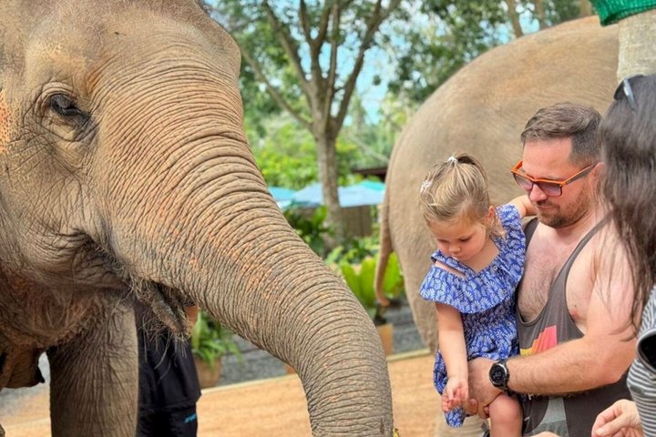 Koh Samui : Elephant Nature Care, il più grande santuario degli elefanti