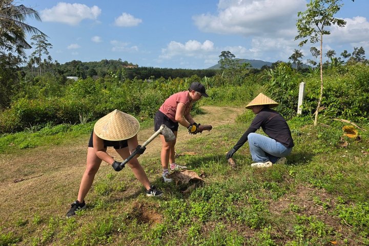 Koh Samui : Elephant Nature Care, il più grande santuario degli elefanti