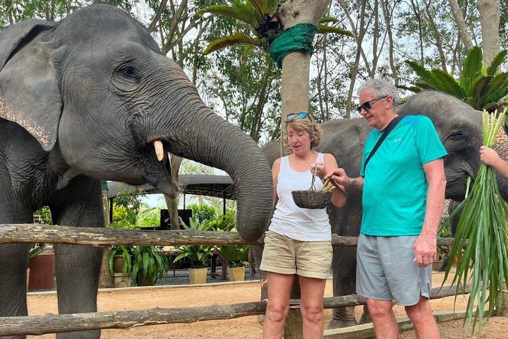 Koh Samui : Elephant Nature Care, il più grande santuario degli elefanti