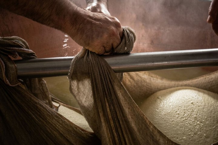 Dal latte alle ruote: tour e degustazione del parmigiano a Parma
