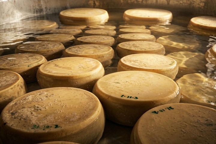 Dal latte alle ruote: tour e degustazione del parmigiano a Parma