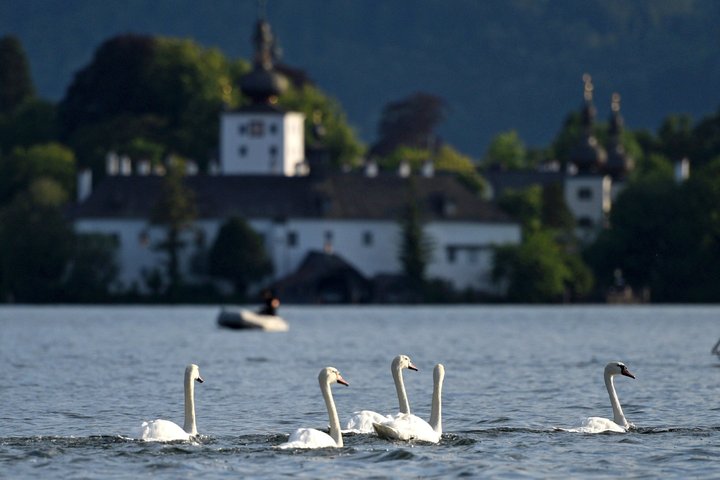Hallstatt Guided Day Trip from Vienna With Skywalk Option