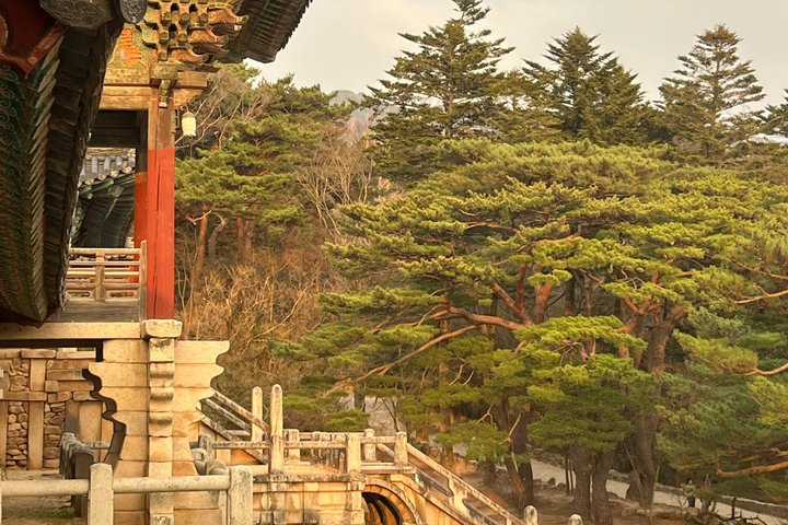Private Gyeongju UNESCO Tour med lokale - starter i Gyeongju