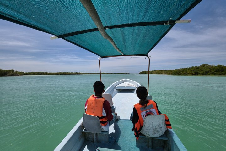 Tour naturalistico a Río Lagartos: coccodrilli e fenicotteri