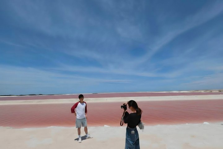 Tour naturalistico a Río Lagartos: coccodrilli e fenicotteri