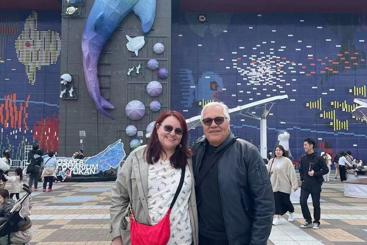 Tour privato delle attrazioni di Osaka con Guida e veicolo di lusso