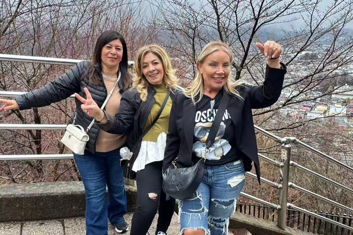Tour privato delle attrazioni di Osaka con Guida e veicolo di lusso