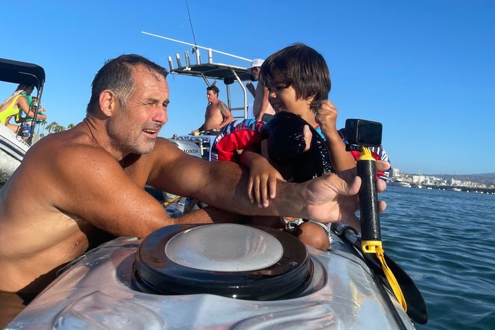 Kajak med sjölejon i en lugn, vacker, Redondo Beach Harbor