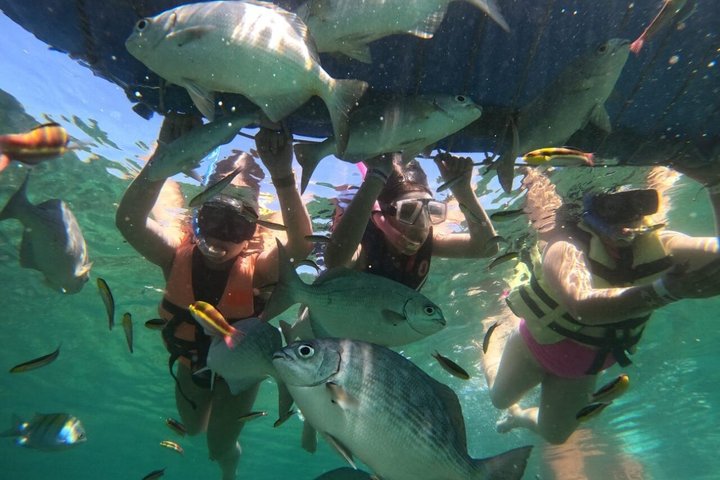 Tour de esnórquel de medio día en Ixtapa Zihuatanejo con almuerzo