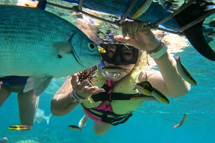 Tour de esnórquel de medio día en Ixtapa Zihuatanejo con almuerzo