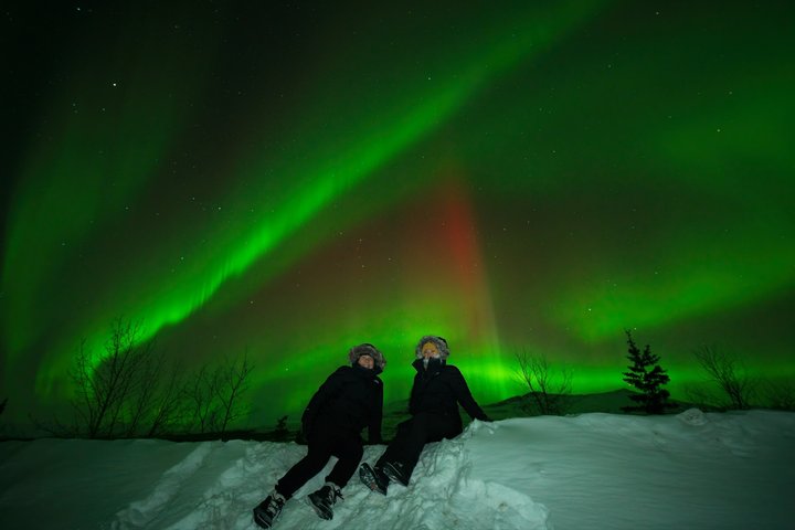 Aurore boréale - Aurore avec photos GRATUITES - Arctic Night Tours