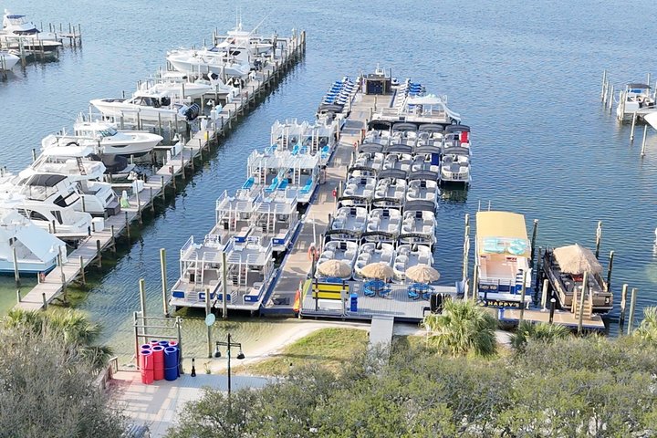 Tour de aventura de 4 horas por la isla Cangrejo en Destin