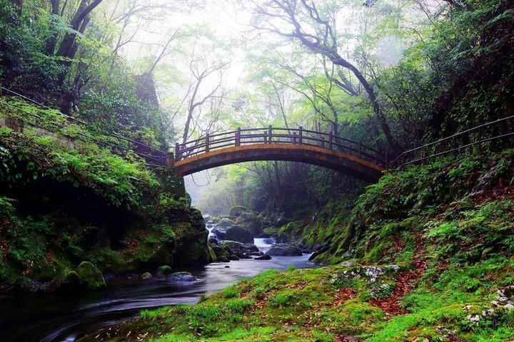Dagstur til Miyazaki Takachiho Gorge & Shrine afgår fra Fukuoka