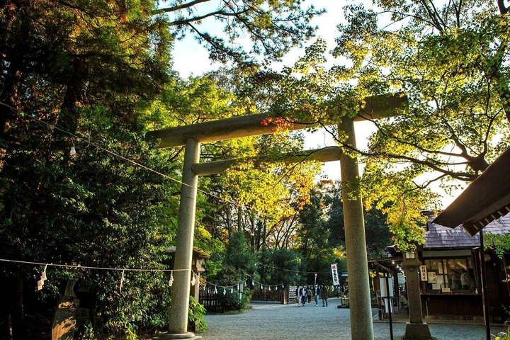 Dagstur til Miyazaki Takachiho Gorge & Shrine afgår fra Fukuoka