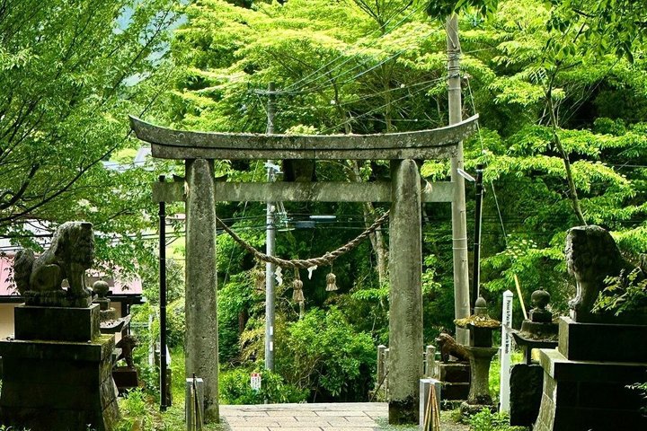 Dagstur til Miyazaki Takachiho Gorge & Shrine afgår fra Fukuoka