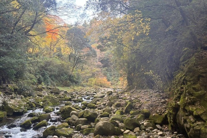 Dagstur til Miyazaki Takachiho Gorge & Shrine afgår fra Fukuoka