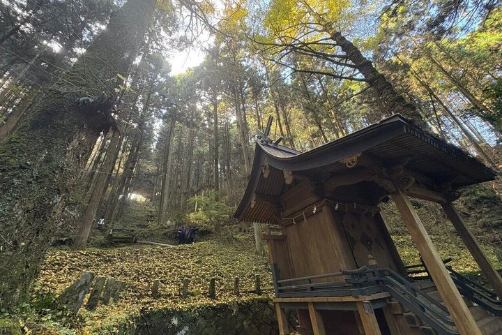 Dagstur til Miyazaki Takachiho Gorge & Shrine afgår fra Fukuoka
