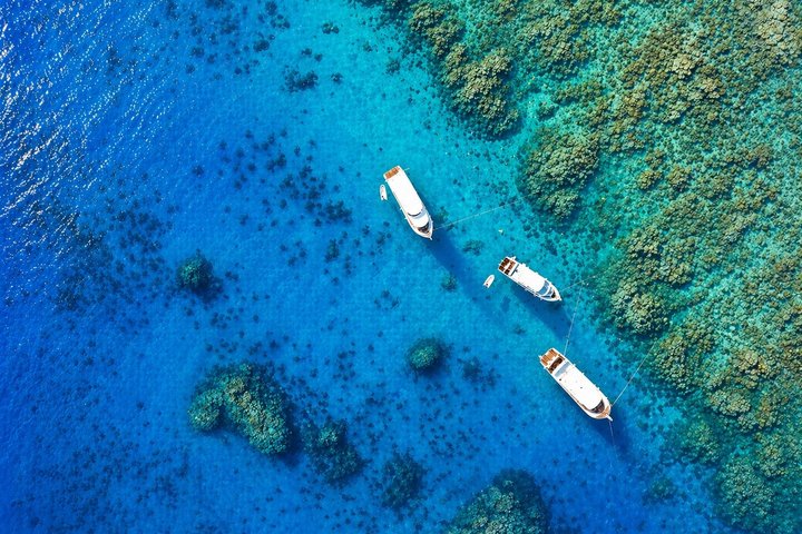 Hurghada: VIP Seafood Yacht till 3 öar, delfiner och snorkling