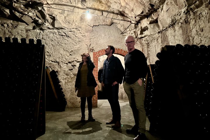Exclusieve Champagne Kelders & Dom Perignon Wijngaarden tour - Reims