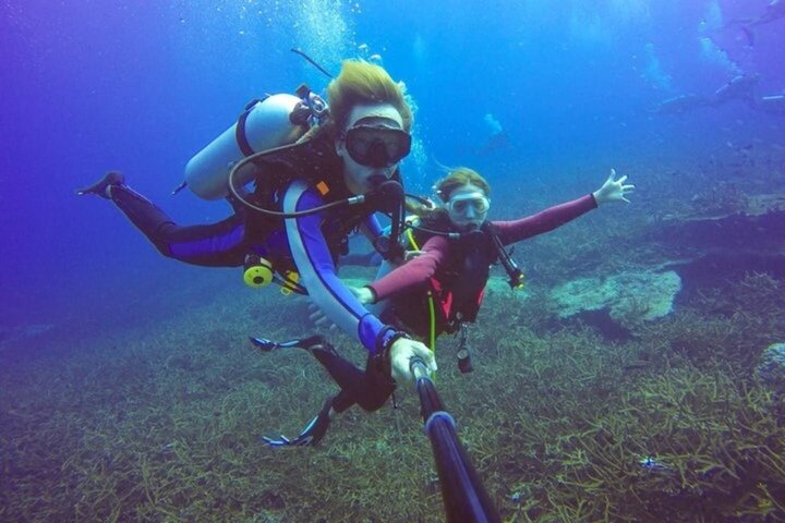 Snorkeling sull'isola di Tiran, crociera subacquea e pranzo - Sharm el Sheik