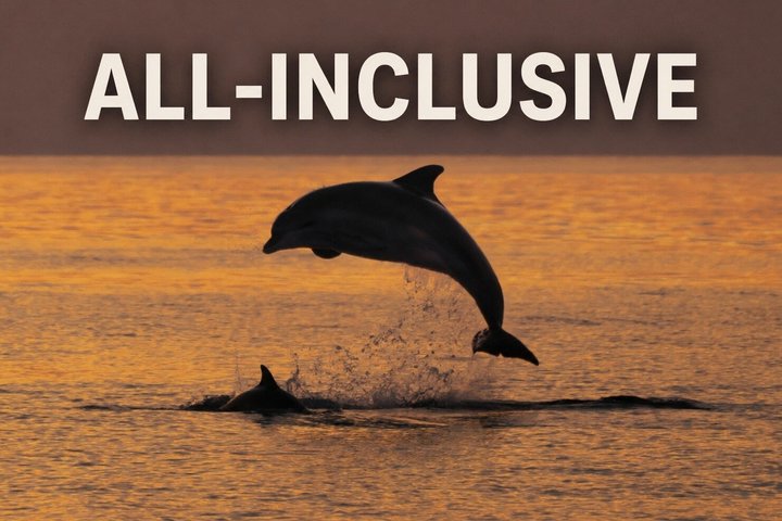 3-timmars ALL-INCLUSIVE Solnedgång Delfinskådning från Medulin onSandra