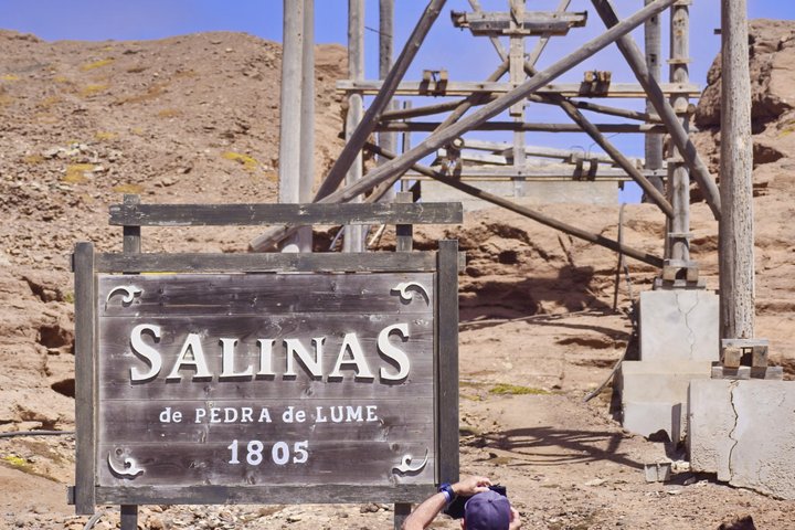 Isla Sal Aventura de día completo: Bahía Shark, Ojo azul, Lago Salado.