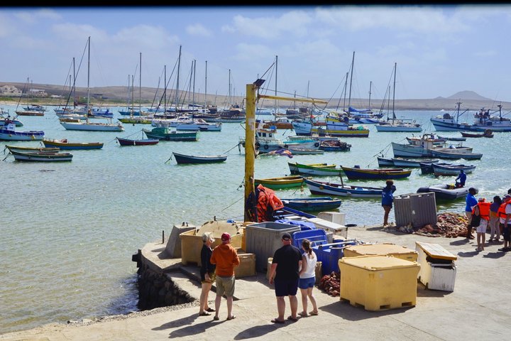 Isla Sal Aventura de día completo: Bahía Shark, Ojo azul, Lago Salado.