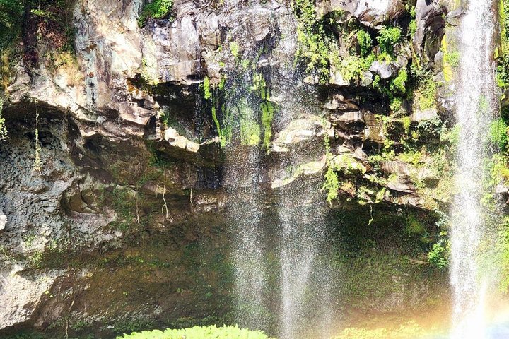 Jeju Island English Private & Flexible Tour n'importe quel numéro n'importe où
