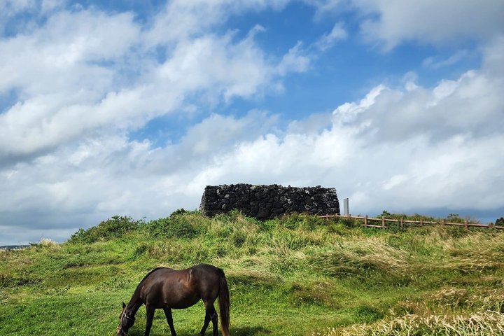 Jeju Island English Private & Flexible Tour n'importe quel numéro n'importe où