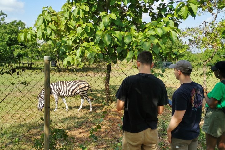 Shia Hills Safari & Akosombo Boat Cruise Day Tour