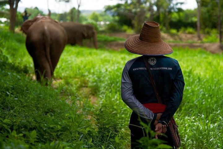 Ethisches Schutzgebiet für Elefanten im Phuket-Naturreservat