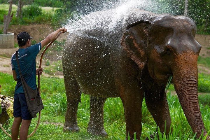 Ethisches Schutzgebiet für Elefanten im Phuket-Naturreservat