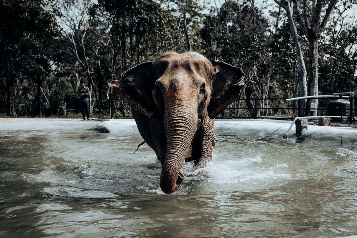 Ethisches Schutzgebiet für Elefanten im Phuket-Naturreservat