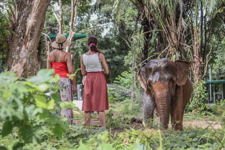 Ethisches Schutzgebiet für Elefanten im Phuket-Naturreservat
