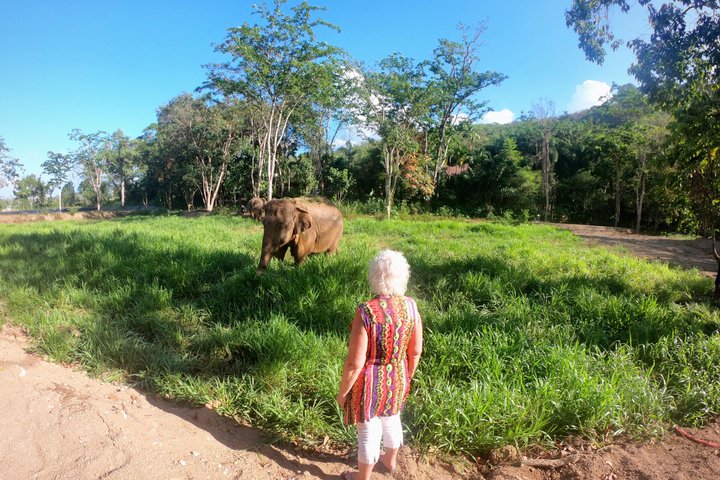 Ethisches Schutzgebiet für Elefanten im Phuket-Naturreservat