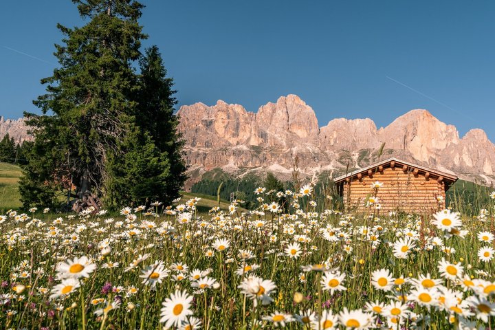 Desde Bolzano Excursión privada de un día a Dolomitas Occidentales