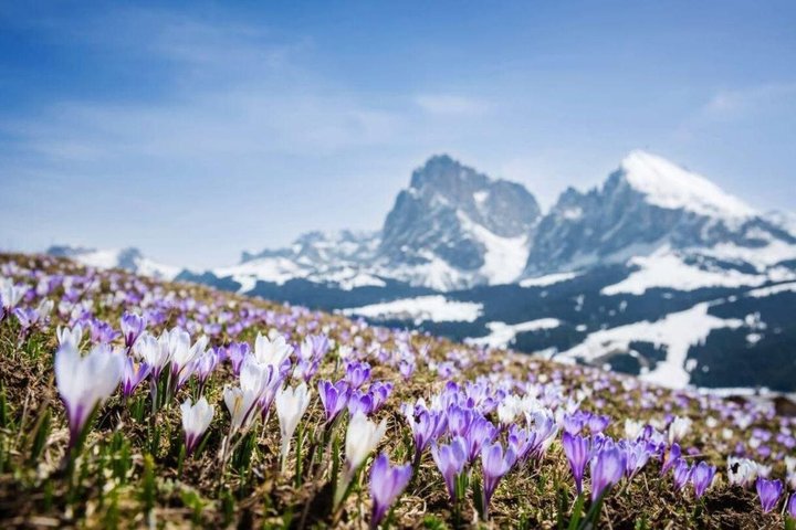 Excursión privada exclusiva de un día a Dolomitas Orientales en coche desde Bolzano