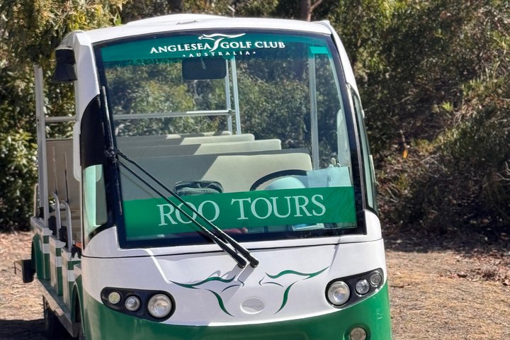 Transferts et Voyages d'une journée à Melbourne en taxi privé