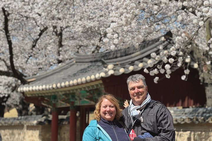 Gyeongju : Kleingruppentour mit Busan & Gyeongju Abholung