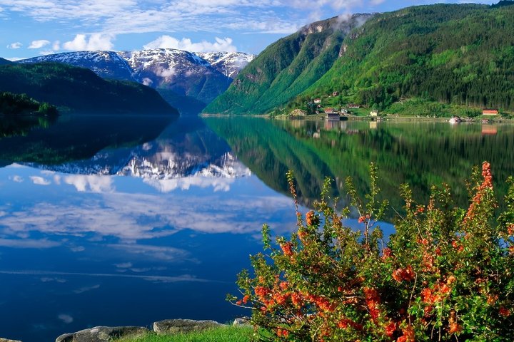 Sognefjord Private Tour from Oslo Iconic Fjord in Norway
