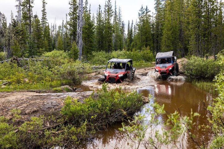 Excursão panorâmica de quadriciclo em cascatas altas de 2 horas em Bend Oregon