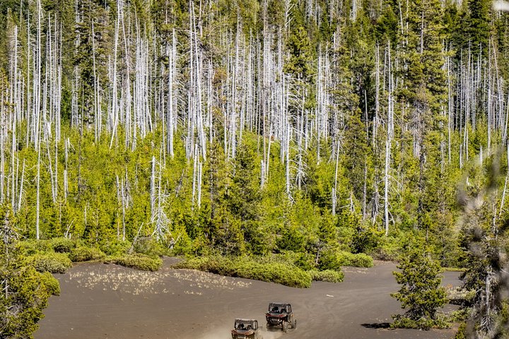 Excursão panorâmica de quadriciclo em cascatas altas de 2 horas em Bend Oregon