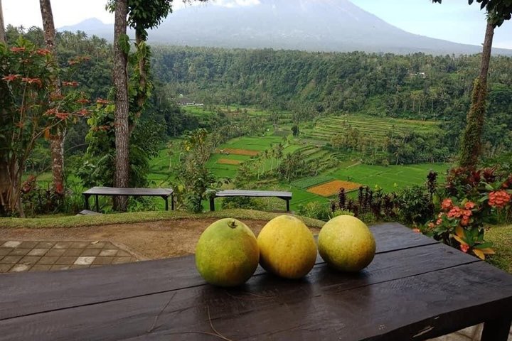 Tour por Bali Oriental: Templo Madre, Penglipuran y Tukad Cepung