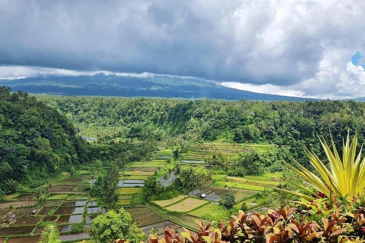 Tour por Bali Oriental: Templo Madre, Penglipuran y Tukad Cepung