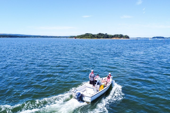 Location de bateaux en auto-conduite autour de Poole Harbour