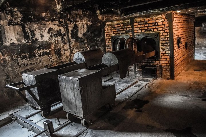 Oswiecim : Reserva de entrada en Auschwitz & Audio Tour autoguiado