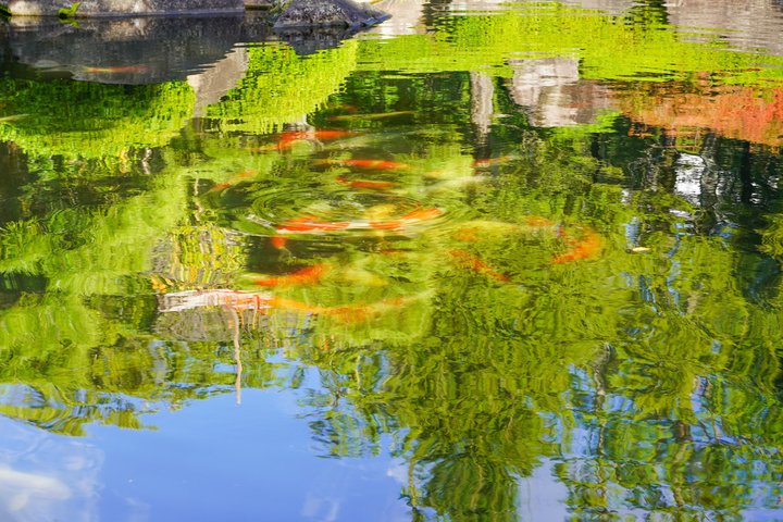 Himeji Castle Easy Bike Tour : Samurai Geschichte, Garten & Matcha
