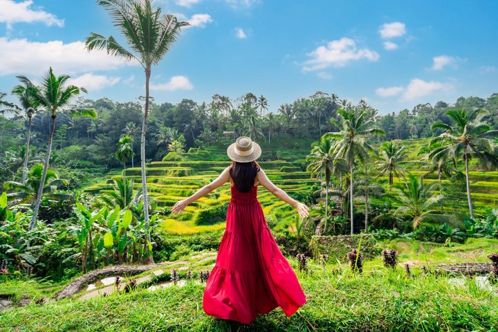 Ubud : Bosque de Monos, Terraza de Arroz, Cueva del Elefante & Tour en Cascada