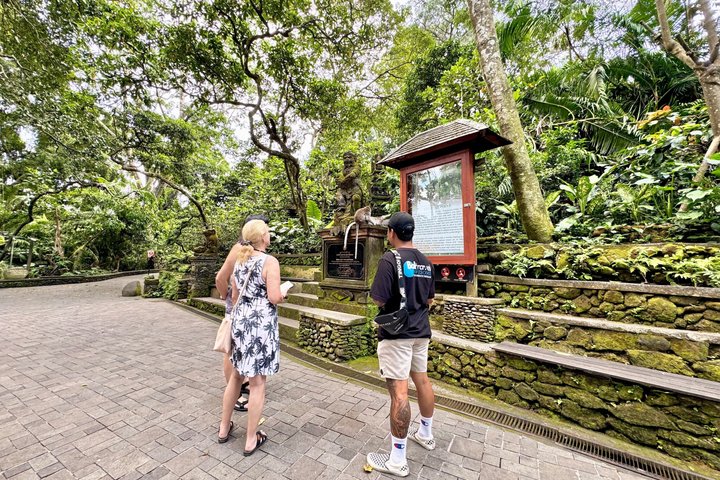 Ubud : Bosque de Monos, Terraza de Arroz, Cueva del Elefante & Tour en Cascada
